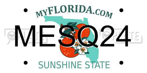 MESQ24 Florida License Plate