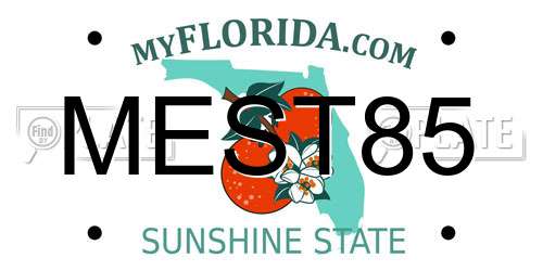 MEST85 Florida License Plate
