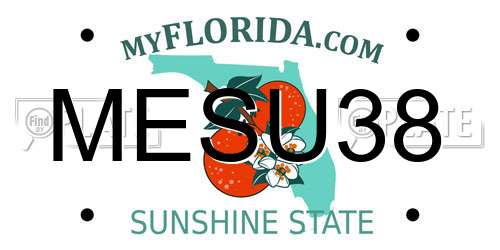 MESU38 Florida License Plate