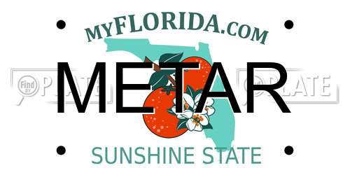METAR Florida License Plate