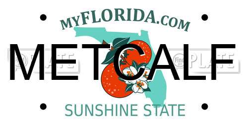 METCALF Florida License Plate