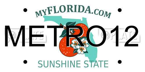 METRO12 Florida License Plate