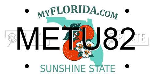 METU82 Florida License Plate