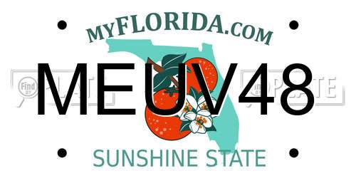 MEUV48 Florida License Plate