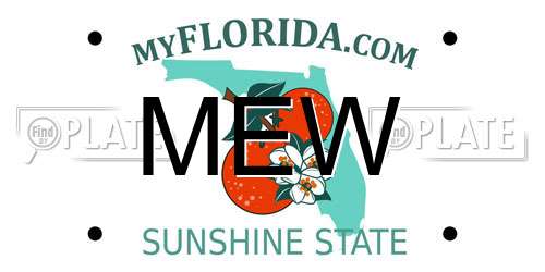 MEW Florida License Plate