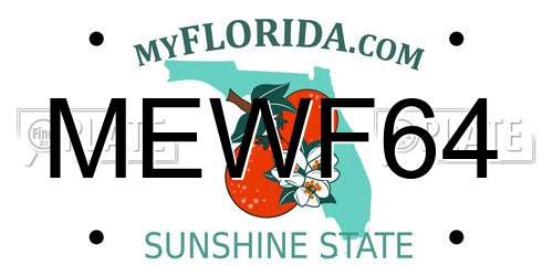 MEWF64 Florida License Plate