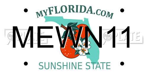 MEWN11 Florida License Plate