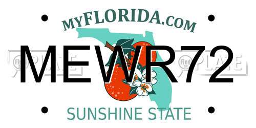 MEWR72 Florida License Plate