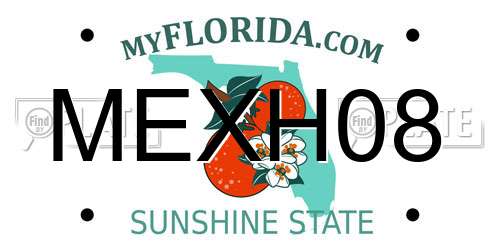 MEXH08 Florida License Plate