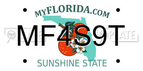 MF4S9T Florida License Plate