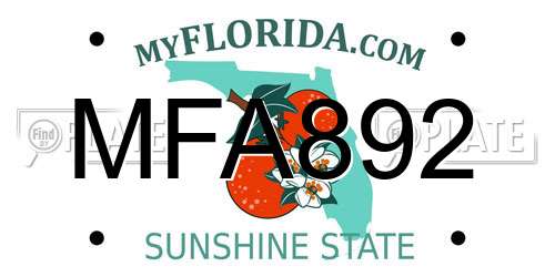 MFA892 Florida License Plate