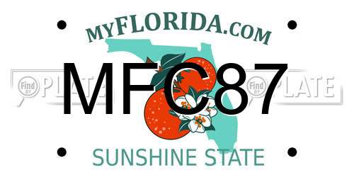 MFC87 Florida License Plate