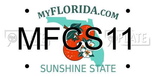 MFCS11 Florida License Plate