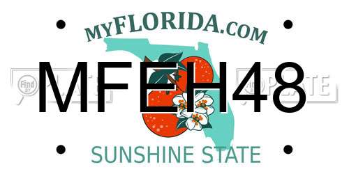 MFEH48 Florida License Plate
