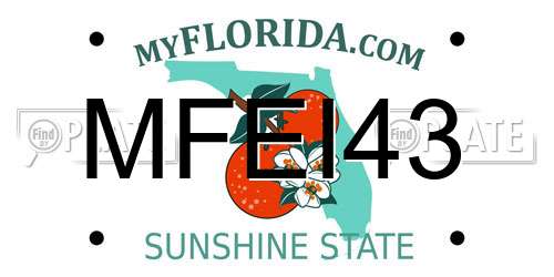 MFEI43 Florida License Plate