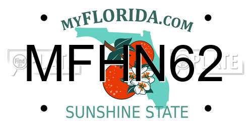 MFHN62 Florida License Plate