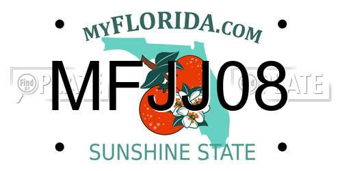 MFJJ08 Florida License Plate