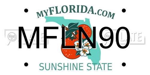MFLN90 Florida License Plate