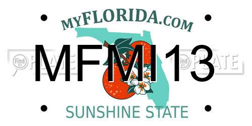 MFMI13 Florida License Plate