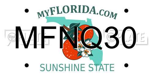 MFNQ30 Florida License Plate