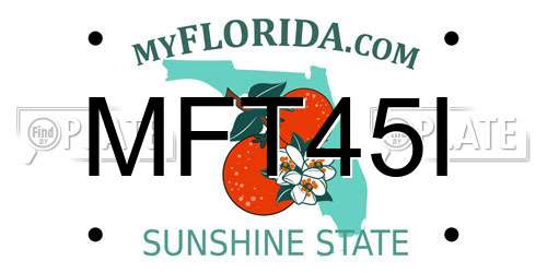 MFT45I Florida License Plate