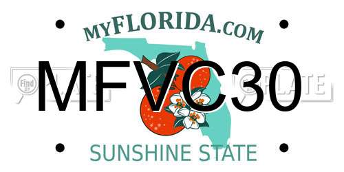 MFVC30 Florida License Plate