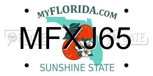 MFXJ65 Florida License Plate