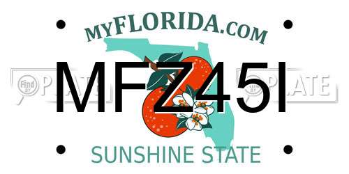 MFZ45I Florida License Plate