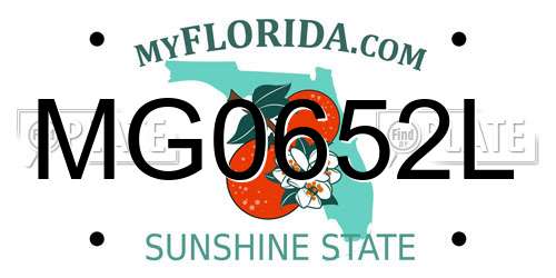 MG0652L Florida License Plate