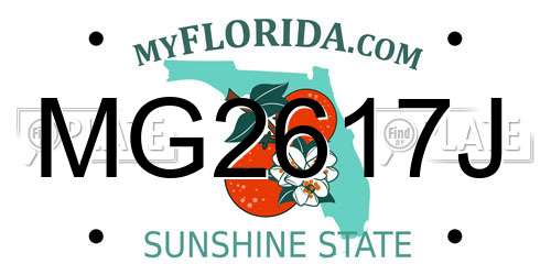 MG2617J Florida License Plate