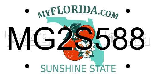 MG2S588 Florida License Plate