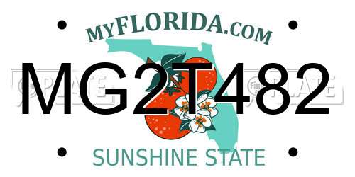 MG2T482 Florida License Plate