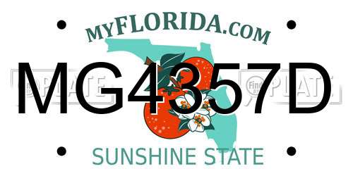 MG4357D Florida License Plate
