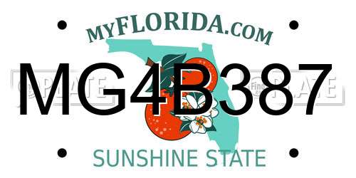 MG4B387 Florida License Plate