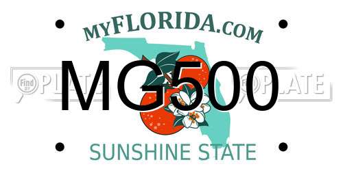 MG500 Florida License Plate