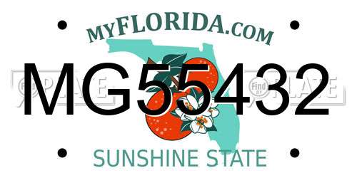 MG55432 Florida License Plate