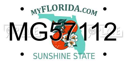 MG57112 Florida License Plate