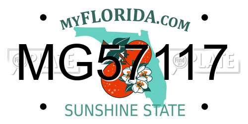 MG57117 Florida License Plate