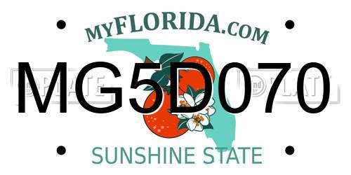 MG5D070 Florida License Plate