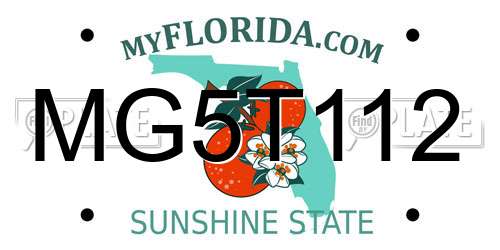 MG5T112 Florida License Plate