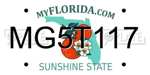 MG5T117 Florida License Plate
