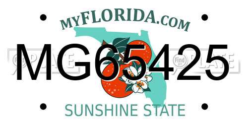 MG65425 Florida License Plate