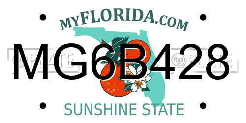 MG6B428 Florida License Plate