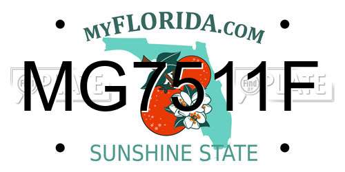 MG7511F Florida License Plate