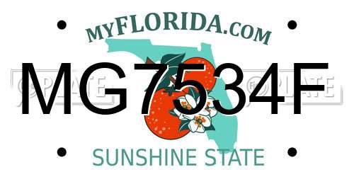 MG7534F Florida License Plate