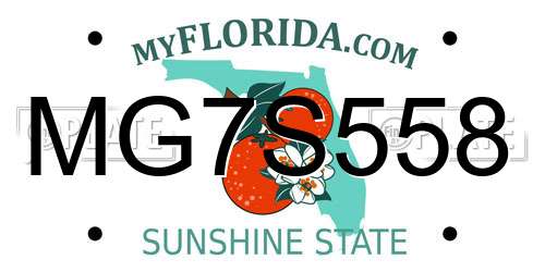 MG7S558 Florida License Plate