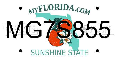 MG7S855 Florida License Plate