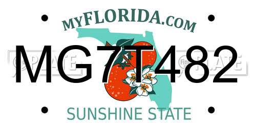 MG7T482 Florida License Plate