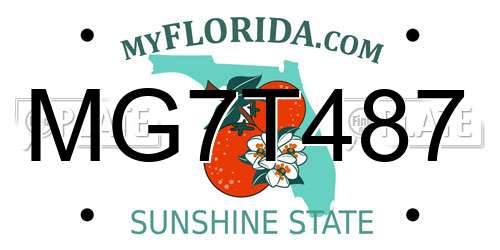 MG7T487 Florida License Plate