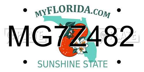 MG7Z482 Florida License Plate